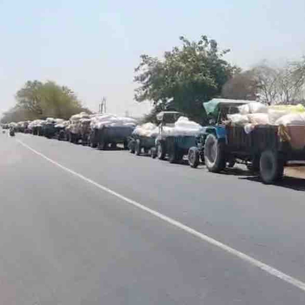 અમરેલી યાર્ડમાં ધાણાની બમ્પર આવક:4 દિવસથી 3 કિમી લાંબી વાહનોની કતાર, 40 હજાર મણ ધાણાની દૈનિક આવક