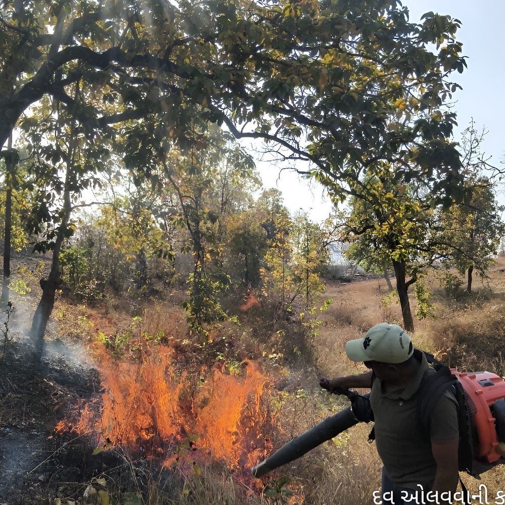 ડુંગરોમાં લાગી આગ:છોટાઉદેપુરઅને મધ્યપ્રદેશની સરહદે આવેલ ડુંગરો ઉપર આગ