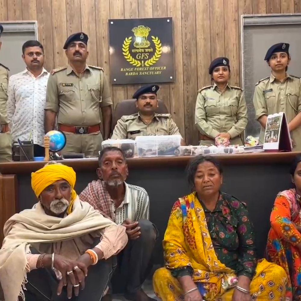 પોરબંદર વન વિભાગે વન્યજીવ અંગોના ગેરકાયદે વેપારમાં ગેંગ ઝડપી:મધ્ય પ્રદેશના 4 આરોપીઓની ધરપકડ, 2 મહિલાઓ સામેલ
