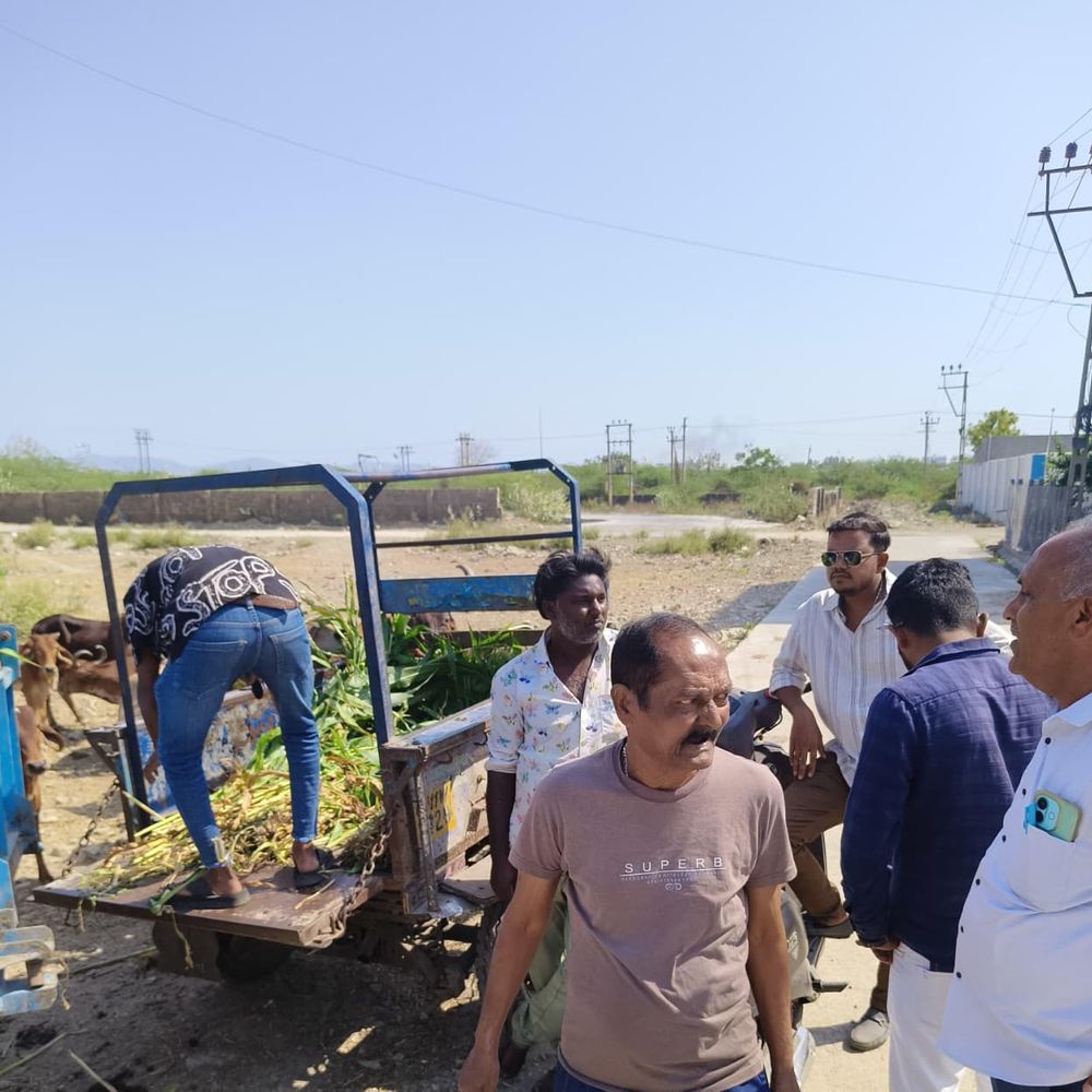 કામગીરી:વોર્ડ નંબર 3માં મનપા તંત્ર દ્વારા રસ્તા પર ઘાસચારો વેચતા વ્યક્તિ સામે કાર્યવાહી કરી