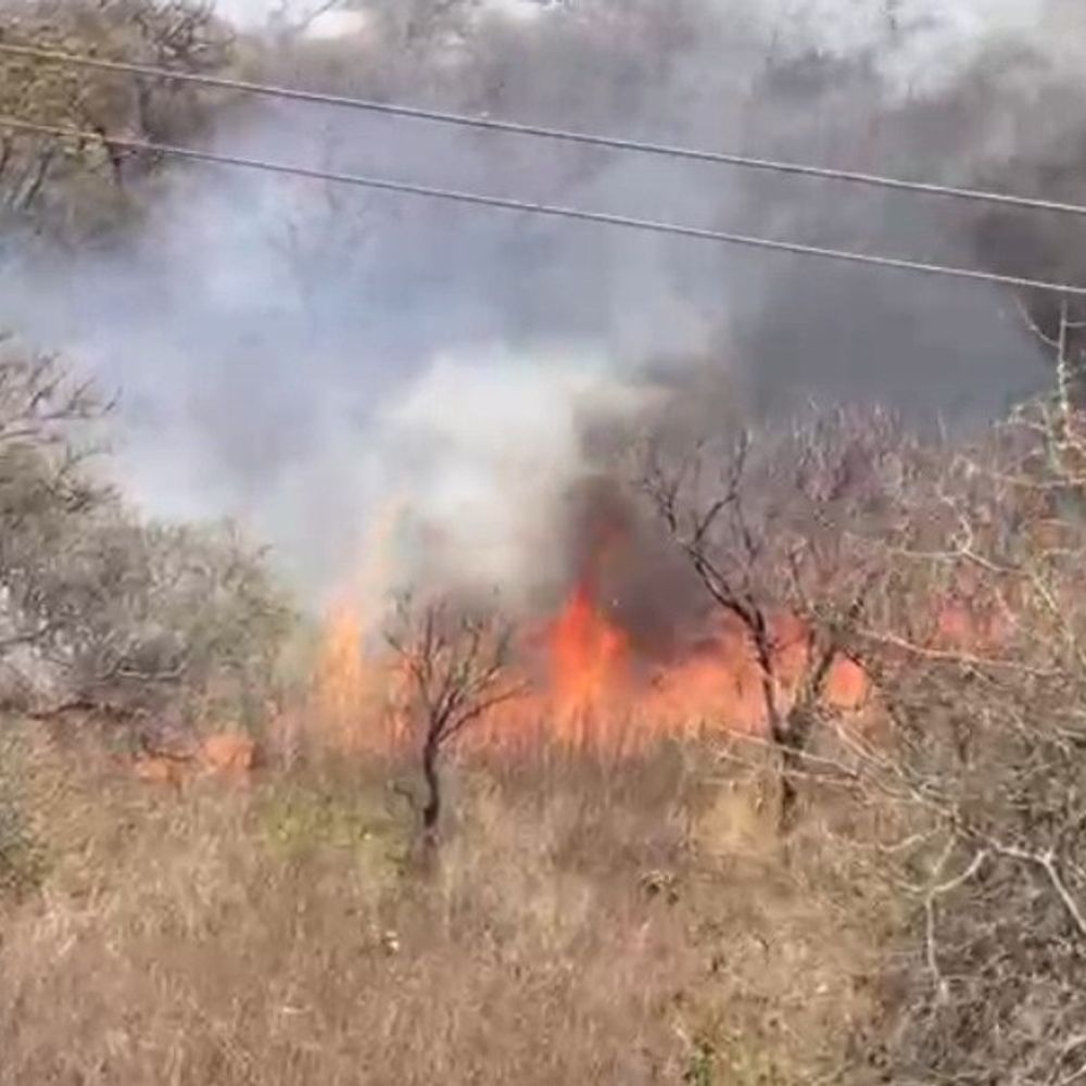 મોડાસા શામળાજી રોડ પર CNG પંપ પાછળ ભીષણ આગ:ફાયર ફાઈટરોએ તાત્કાલિક પાણીનો મારો ચલાવી આગને કાબૂમાં લીધી