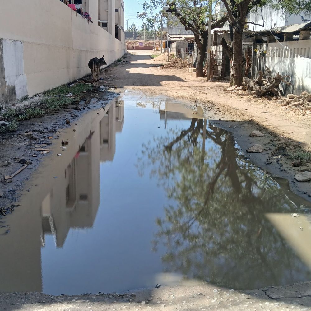 લોકો નર્કાગાર જેવી સ્થિતિમાં જીવવા મજબૂર બન્યા:કાપડીપુરાના તબેલાઓનું ગંદુ પાણી જાહેર માર્ગ પર છોડાયું, એગોલા રોડ પર ગંદા પાણીથી‎5 સોસાયટીના રહીશો પરેશાન‎