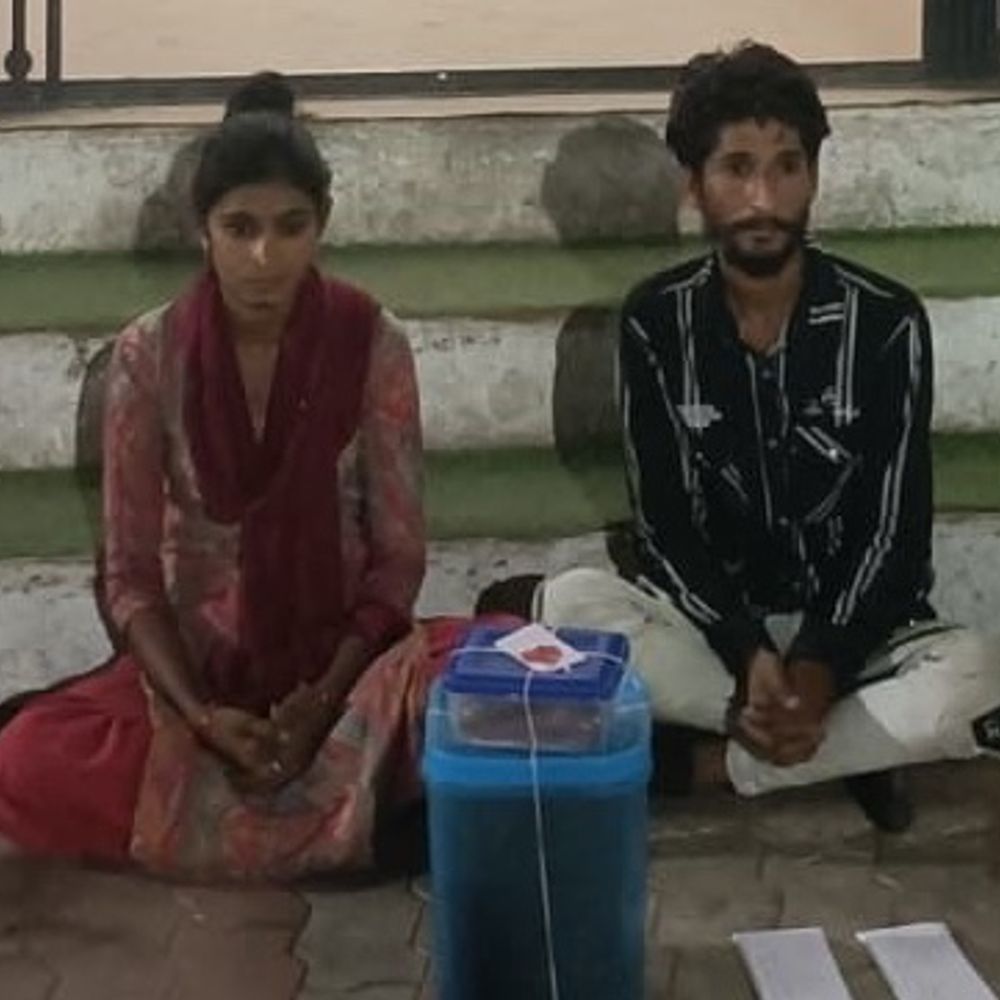 શાપર અને રાવકીમાંથી ગાંજાના જથ્થા સાથે યુવતી સહિત ત્રણ ઝડપાયા:રાજકોટમાં બહેન-બનેવીએ પુત્ર આપી દેવાનુ દબાણ કરતા પરિણીતાએ ફિનાઇલ પી આપઘાતનો પ્રયાસ કર્યો