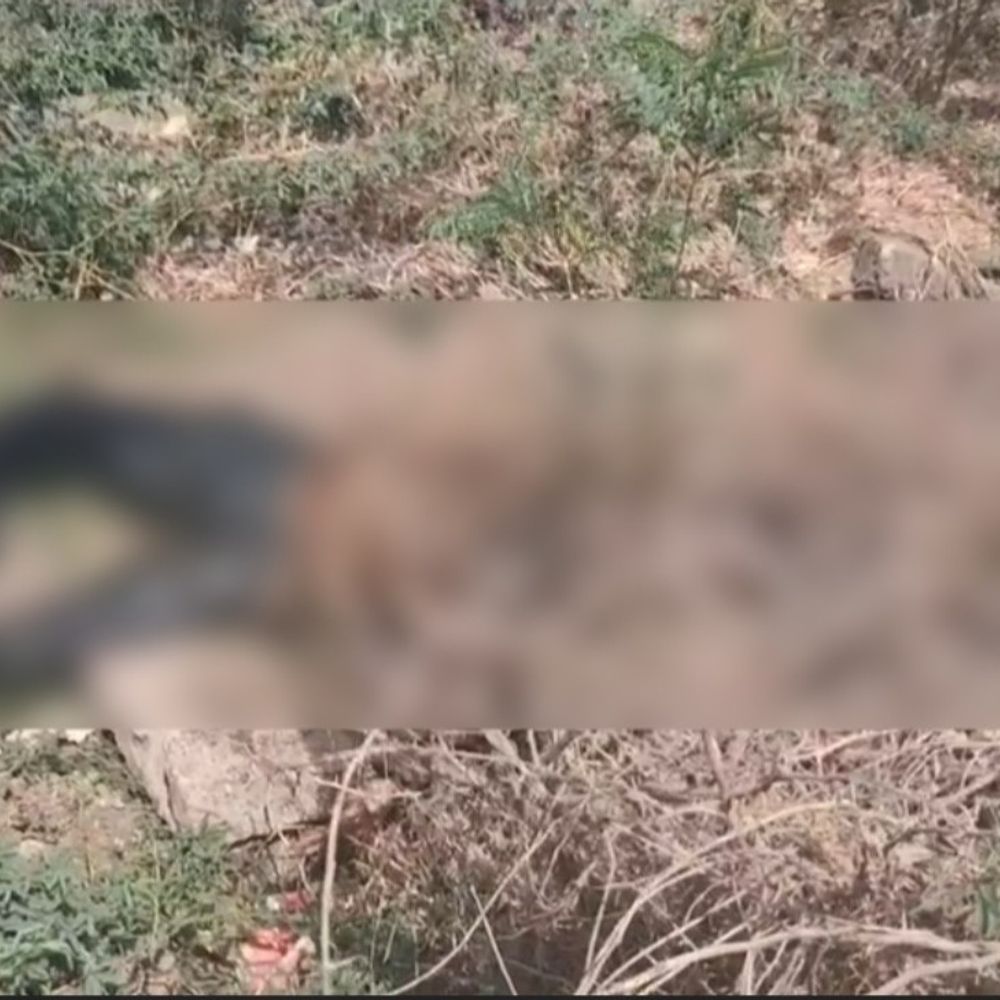 ઝાડી-ઝાંખરામાંથી અજાણ્યા શખ્સનો કોહવાયેલો મૃતદેહ મળ્યો.:ધોરાજી ચોકડી નજીકથી શંકાસ્પદ હાલતમાં લાશ મળી, મૃતદેહ કોહવાઈ ગયેલો હોવાથી પોલીસ દ્વારા ફોરેન્સિક પીએમની તજવીજ.