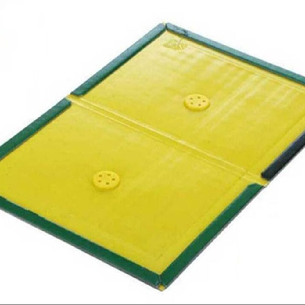 વિધાનસભા સત્રમાં ગ્લૂ ટ્રેપ ઉપર બિલ લવાશે કે નહીં?:સરકારી વકીલ હાઇકોર્ટને જાણ કરશે, અરજદારોએ કહ્યું- કલેક્ટરનું 60 દિવસનું જાહેરનામું સમાપ્ત થતા ગ્લૂ ટ્રેપનું વેચાણ થઈ રહ્યું છે