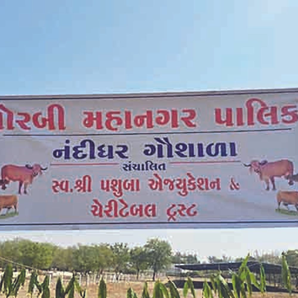 નંદીઘરના શ્રીગણેશ કરાયા:મોરબીમાં રખડતા ભટકતા ગૌવંશને સાચવવા ફરીથી નંદીઘર શરૂ કરાયું