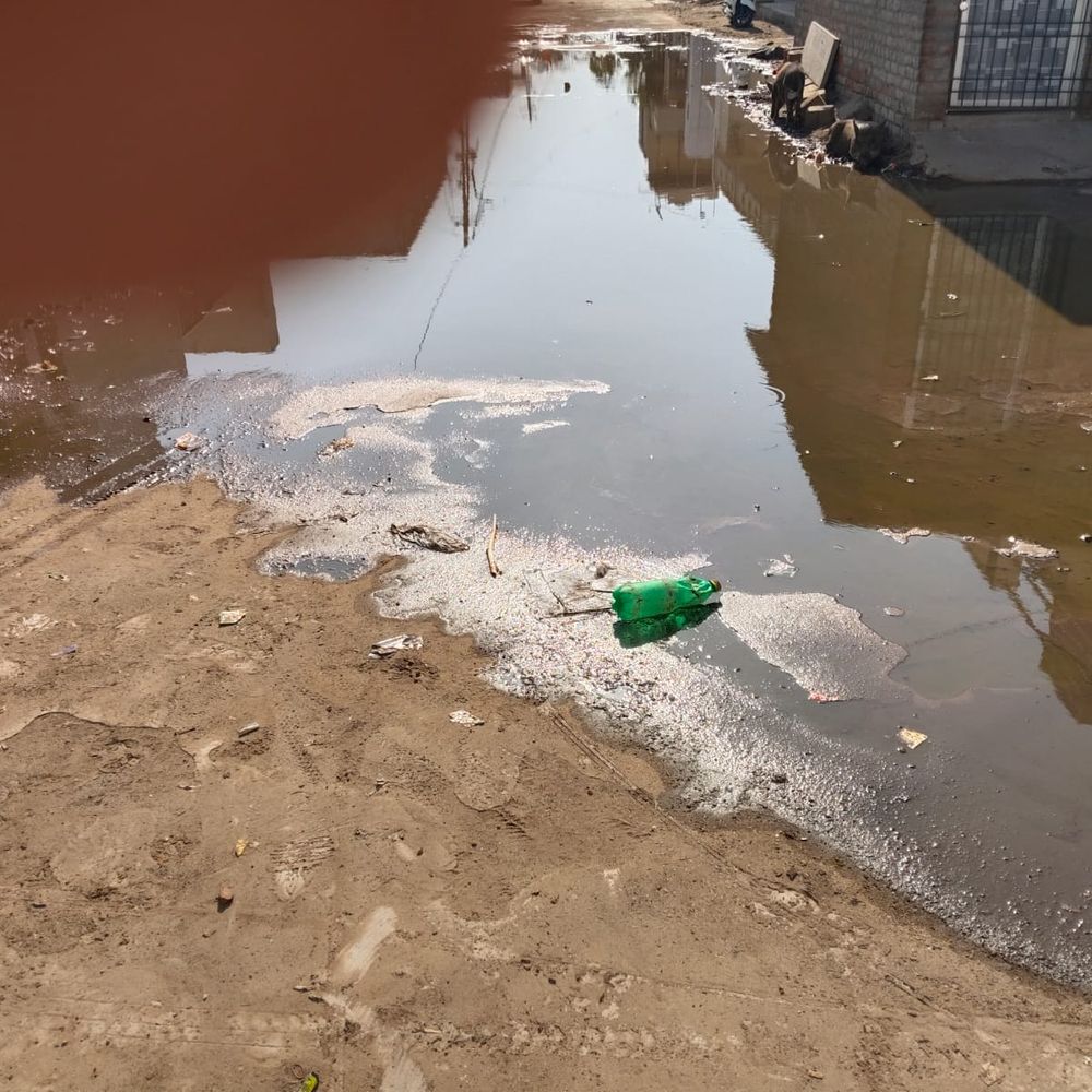 ગોકુલનગરમાં ગટરના પાણીની રેલમછેલ:સુરેન્દ્રનગરના 1000થી વધુ નાગરિકો નર્કાગાર જેવી હાલતમાં જીવવા મજબૂર