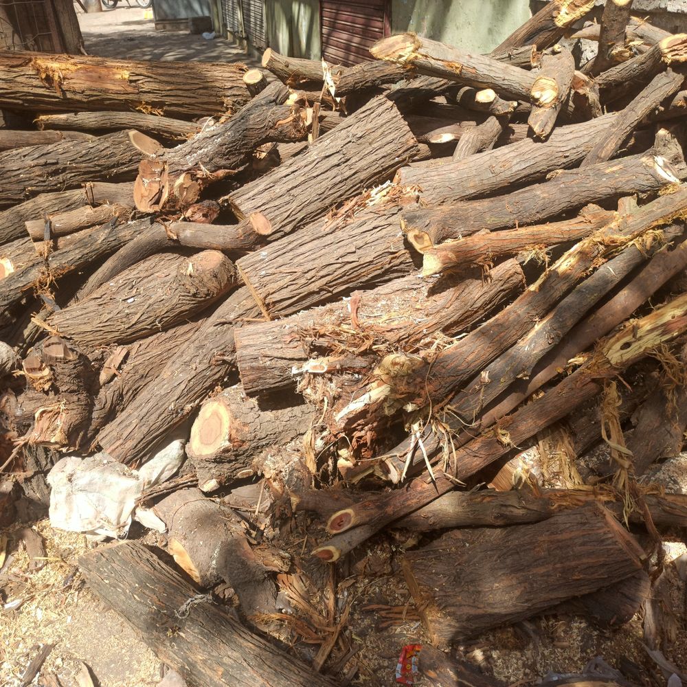 લાકડાનો ઉપયોગ કરવા લોકો બન્યા મજબૂર:ગેસ સિલિન્ડરની અછત સર્જાતાં લાકડાના વેચાણમાં તેજી આવી, રોજ 2500 કિલો લાકડાંનું વેચાણ