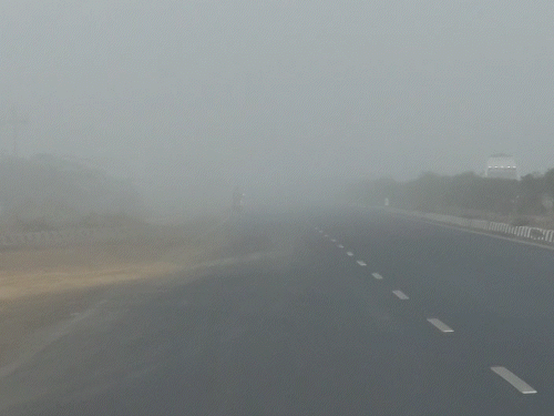 જામનગરમાં વહેલી સવારે ઝાકળ છવાઈ, વિઝિબિલિટી ઘટી