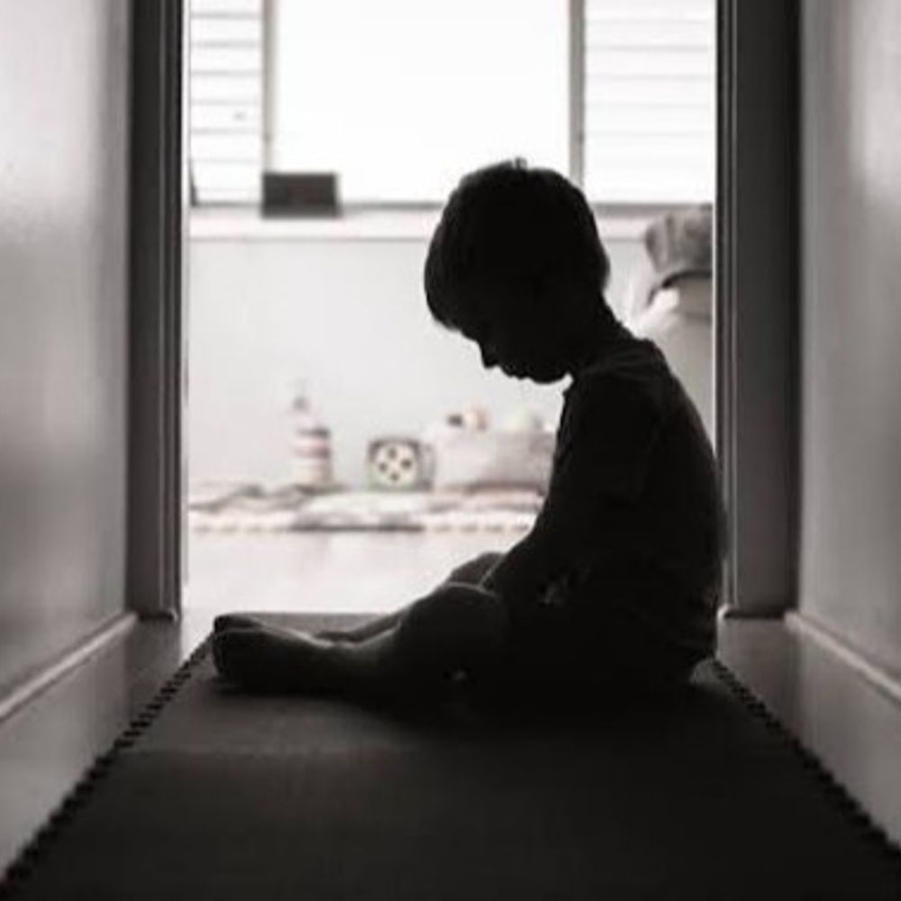 વડોદરા પોક્સો કોર્ટે નરાધમને સજા ફટકારી:7 વર્ષના સગીર બાળક સાથે સૃષ્ટિ વિરુદ્ધ કૃત્ય આચરનાર આરોપીને 20 વર્ષની સખત કેદ, કબૂતરનું ઈંડુ બતાવવાના બહાને લઈ જઈને કૃત્ય આચર્યું હતું