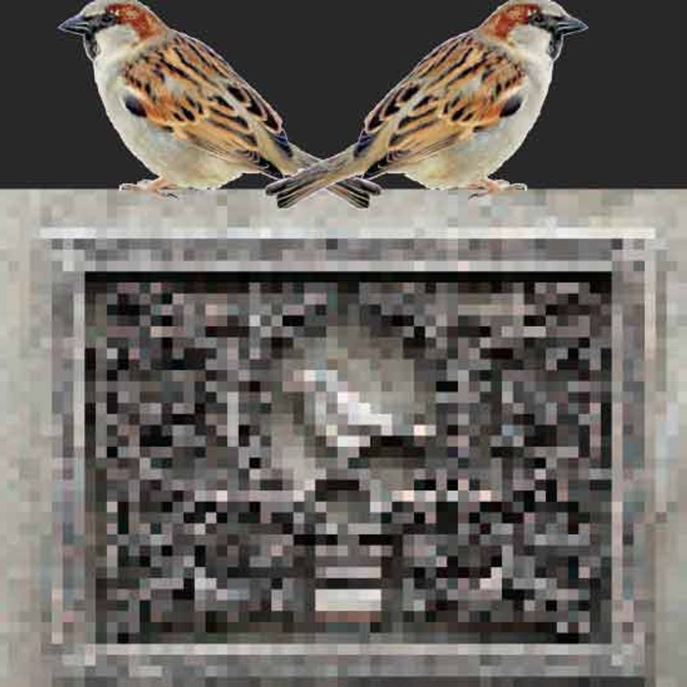 રેઈનબો:ટચૂકડી જાહેરખબર : ખોવાયું ચકલીનું ચીં ચીં...!