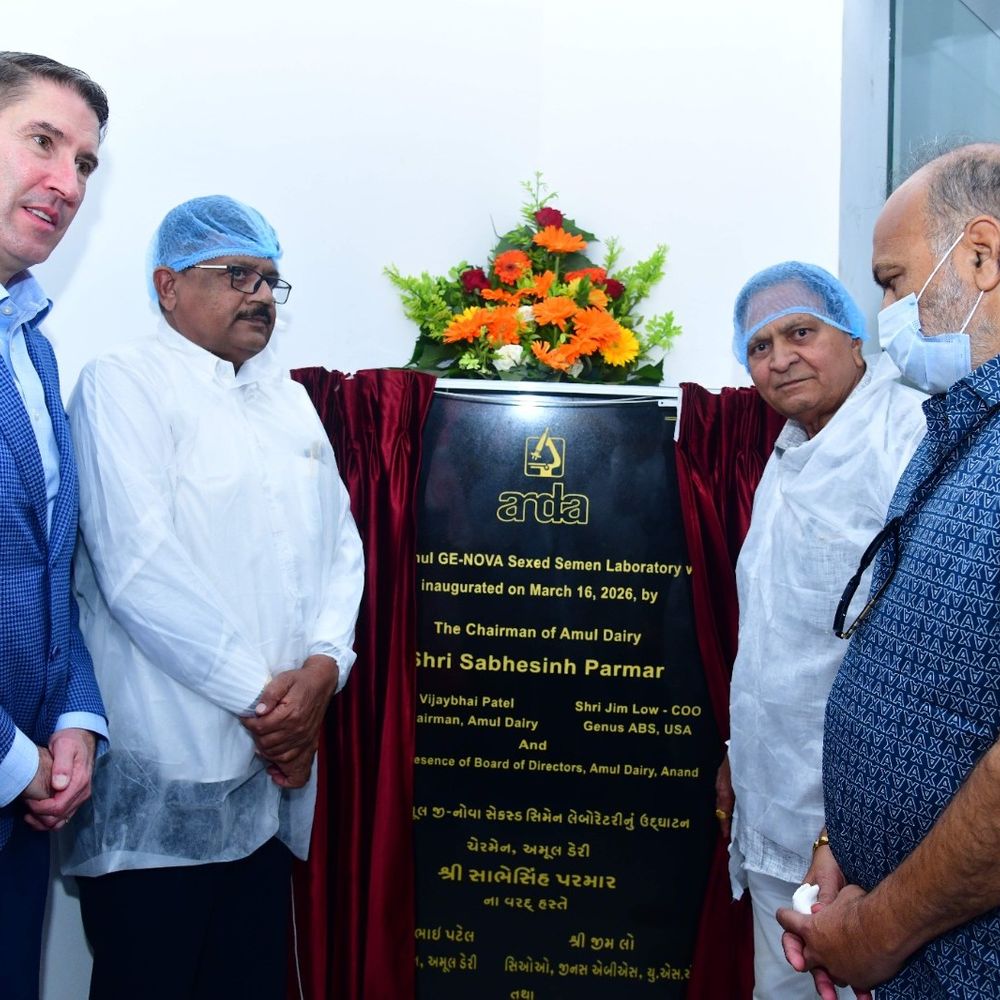 અમૂલ ડેરીએ ઓડ ખાતે નવી સેક્સડ સીમેન લેબ ખોલી:પશુઓની આનુવંશિક ક્ષમતા સુધારવા અમૂલ ગૌસોર્ટ, GE-NOVA લેબનું ઉદ્ઘાટન