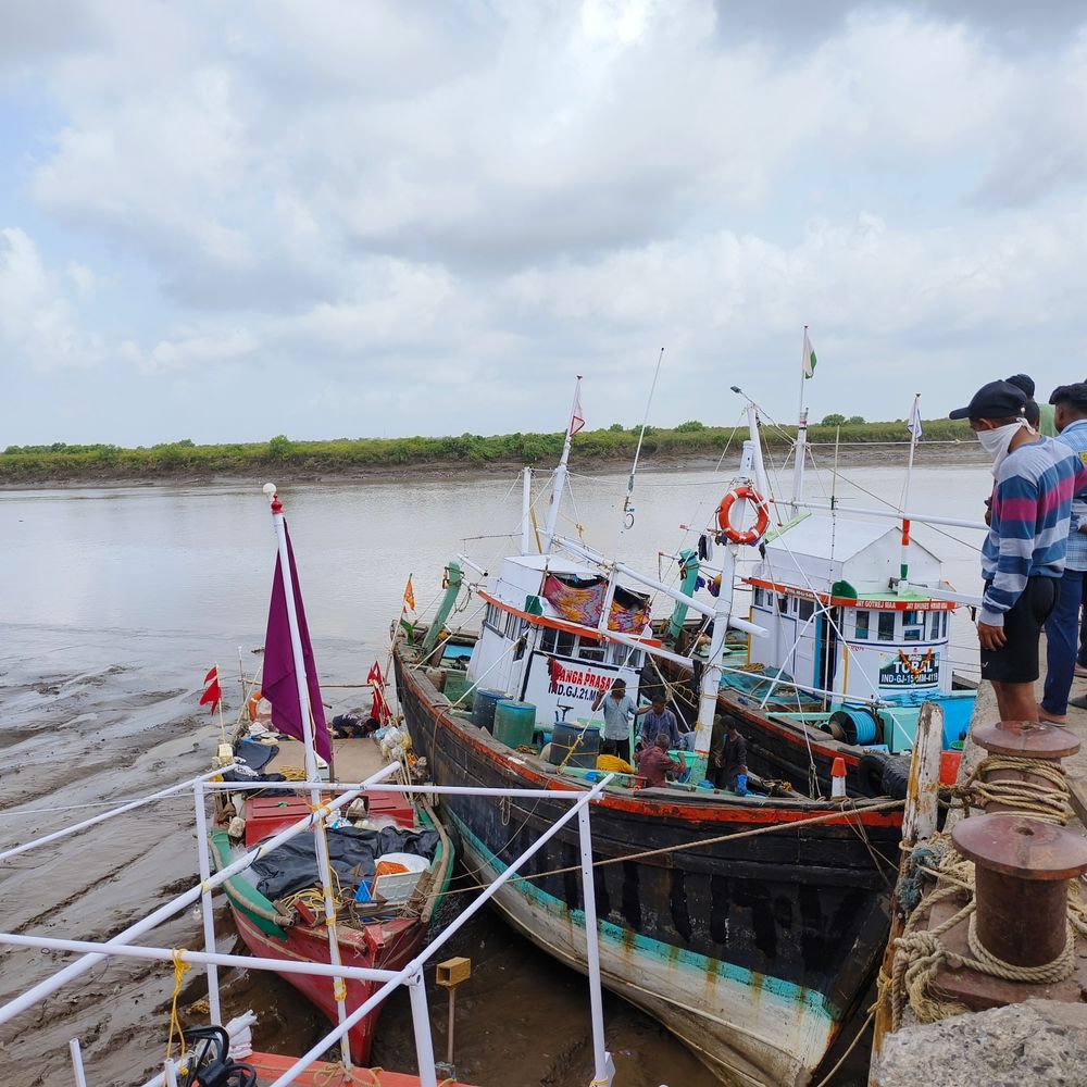 ધોલાઈ બંદરે ફિશરીઝ વિભાગના દરોડા:ઓનલાઈન ટોકન વગર ખલાસીઓ લઈ જતી બે બોટ ઝડપાઈ