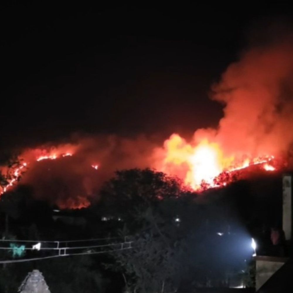 શામળાજી પાસેના ડુંગરો પર ભીષણ આગ:વનરાજી બળીને ખાખ, વન વિભાગે કાર્યવાહી હાથ ધરી