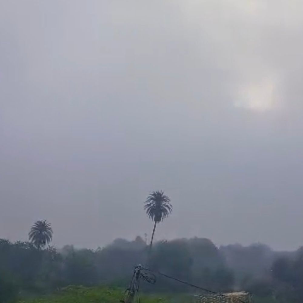 મહીસાગરમાં વાતાવરણ પલટો અને કમોસમી વરસાદની આગાહીથી ખેડૂતોને પાક નુકસાનની ચિંતા.