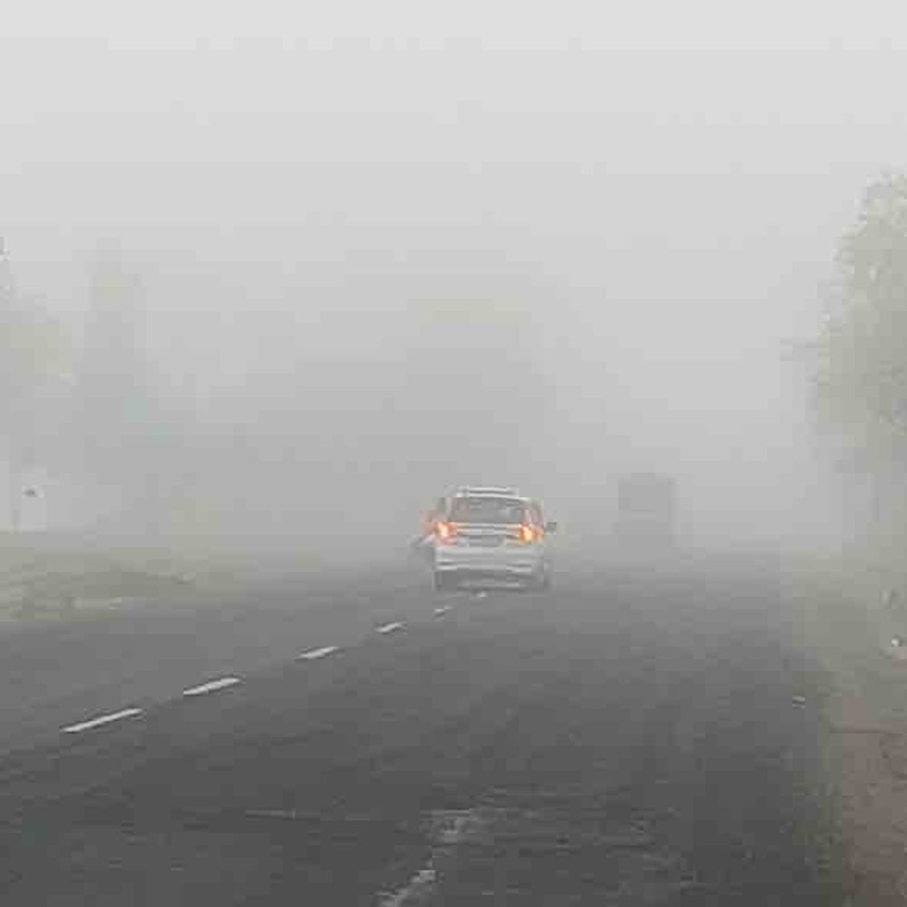 અમરેલી જિલ્લામાં વહેલી સવારે ગાઢ ધુમ્મસ:હાઇવે પર વાહનચાલકોને ભારે મુશ્કેલી પડી