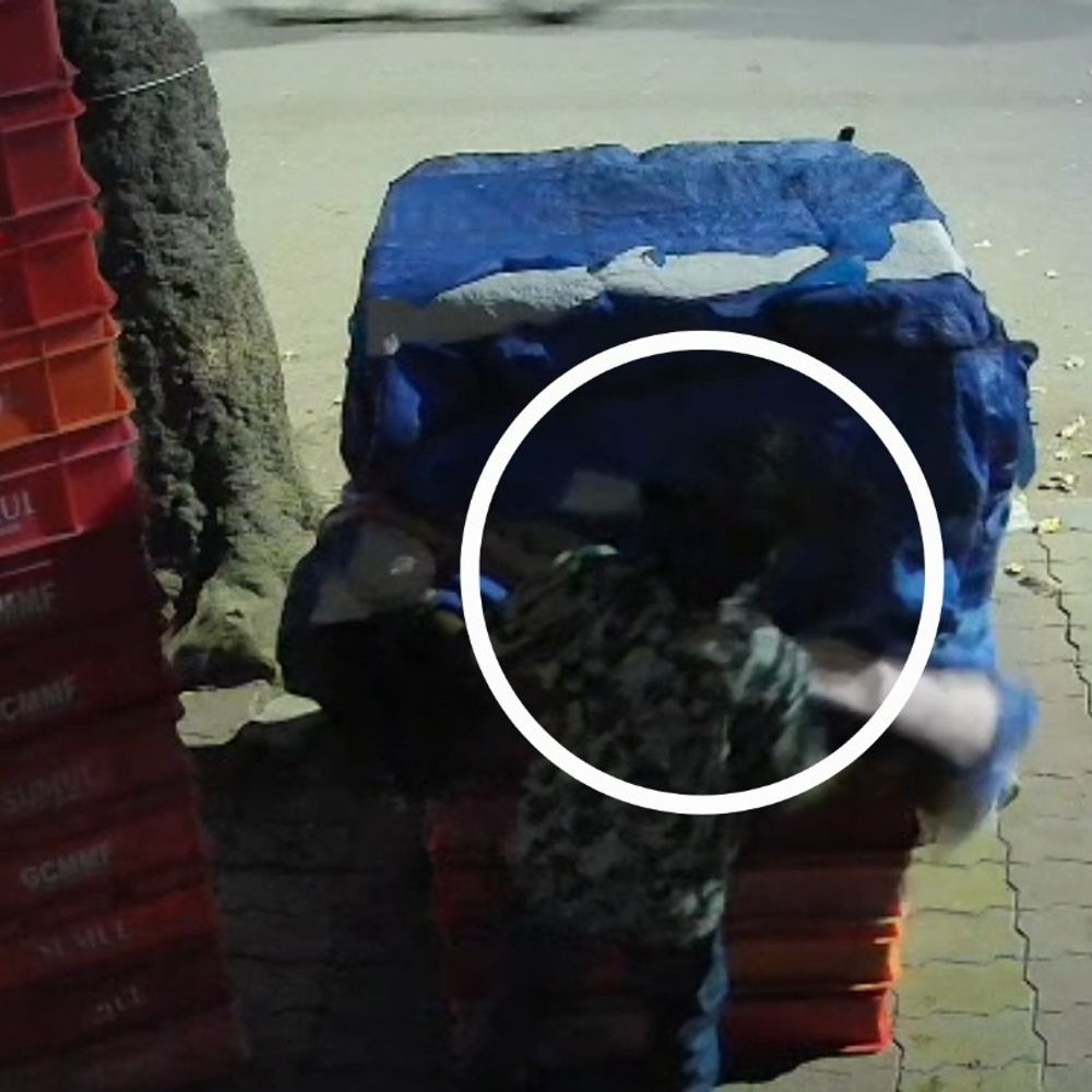 હવે દૂધ પણ સુરક્ષિત નથી!:સુરતના કાપોદ્રામાં ડેરી બહારથી દૂધની બોટલોની ચોરી, સગીર ચોરી કરીને થતો રફુચક્કર, સમગ્ર ઘટના CCTVમાં કેદ