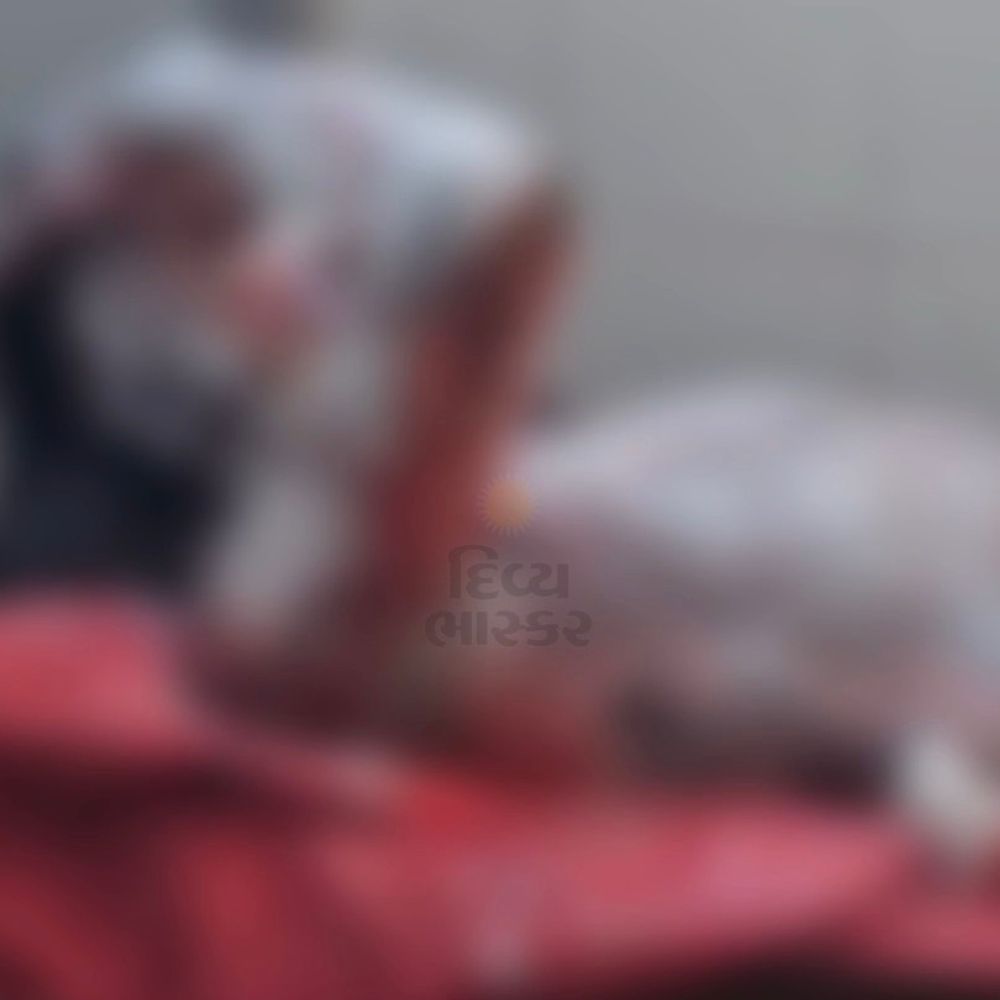 ગોધરામાં વીજ કેબલ બદલતા શ્રમિકને હાઈવોલ્ટેજ કરંટ:લીલેશરા સબ સ્ટેશન પાસે ઘટના, ગંભીરરીતે દાઝી જતા હોસ્પિટલ ખસેડાયો