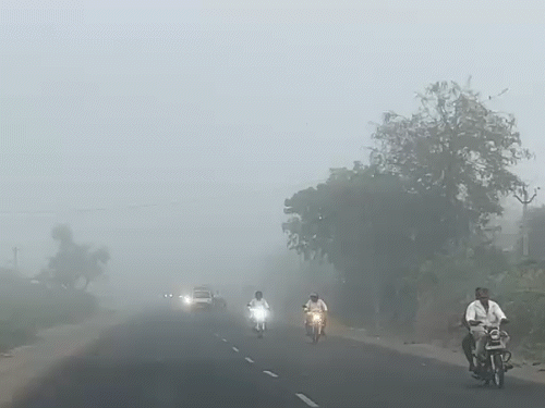 અમરેલીમાં ગાઢ ધુમ્મસથી હાઇવે પર મુશ્કેલી.