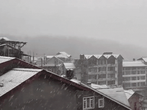 રાજસ્થાનમાં વરસાદથી તાપમાન ઘટ્યું, યુપીમાં વાવાઝોડાથી મોત, કાશ્મીર અને ઉત્તરાખંડમાં હિમવર્ષા અને કેદારનાથમાં -11°C તાપમાન.