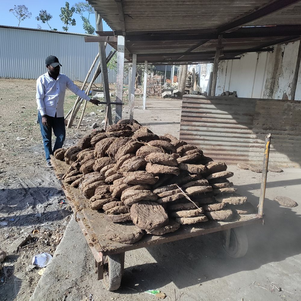 સુરતમાં ગેસ અછત:લોકોએ કર્યો છાણાનો ઉપયોગ, માંગ વધતા ભાવમાં વધારો