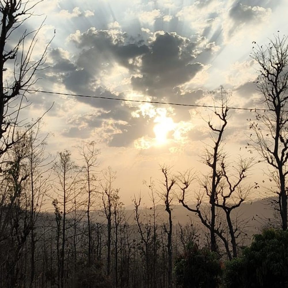 ડાંગમાં હવામાન પલટાયું: 20-21 માર્ચે હળવા વરસાદની આગાહી, ખેડૂતોને સાવચેતી રાખવા અપીલ.