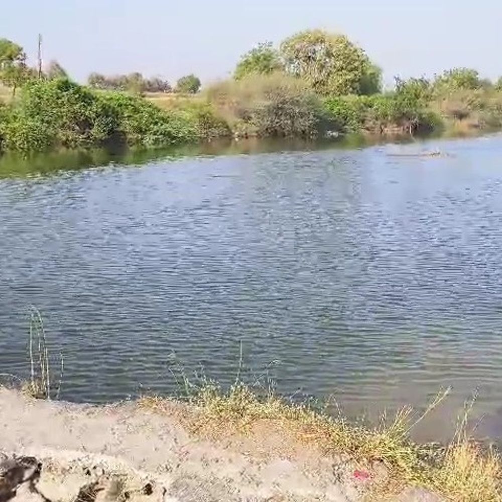 દેરાળાના ચેકડેમો ભરાયા:મંત્રીને રજૂઆત બાદ આકડિયા ડેમમાંથી પાણી છોડાયું