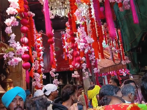 ચૈત્ર નવરાત્રી શરૂ હિમાચલના શક્તિપીઠોમાં ભીડ, ચિંતપૂર્ણી મંદિરમાં 50 લાખના ફૂલોનો શણગાર, 23 કલાક દર્શન અને સુરક્ષા વ્યવસ્થા.