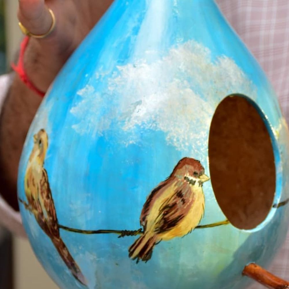 ચકલીને બચાવવા રોજ ઉજવો 'સ્પેરો-ડે':વડોદરાની સ્ટાર ઇન્ડિયા સ્પેરો સંસ્થા દ્વારા 26 વર્ષથી પક્ષી સંરક્ષણનું સક્રિય અભિયાન