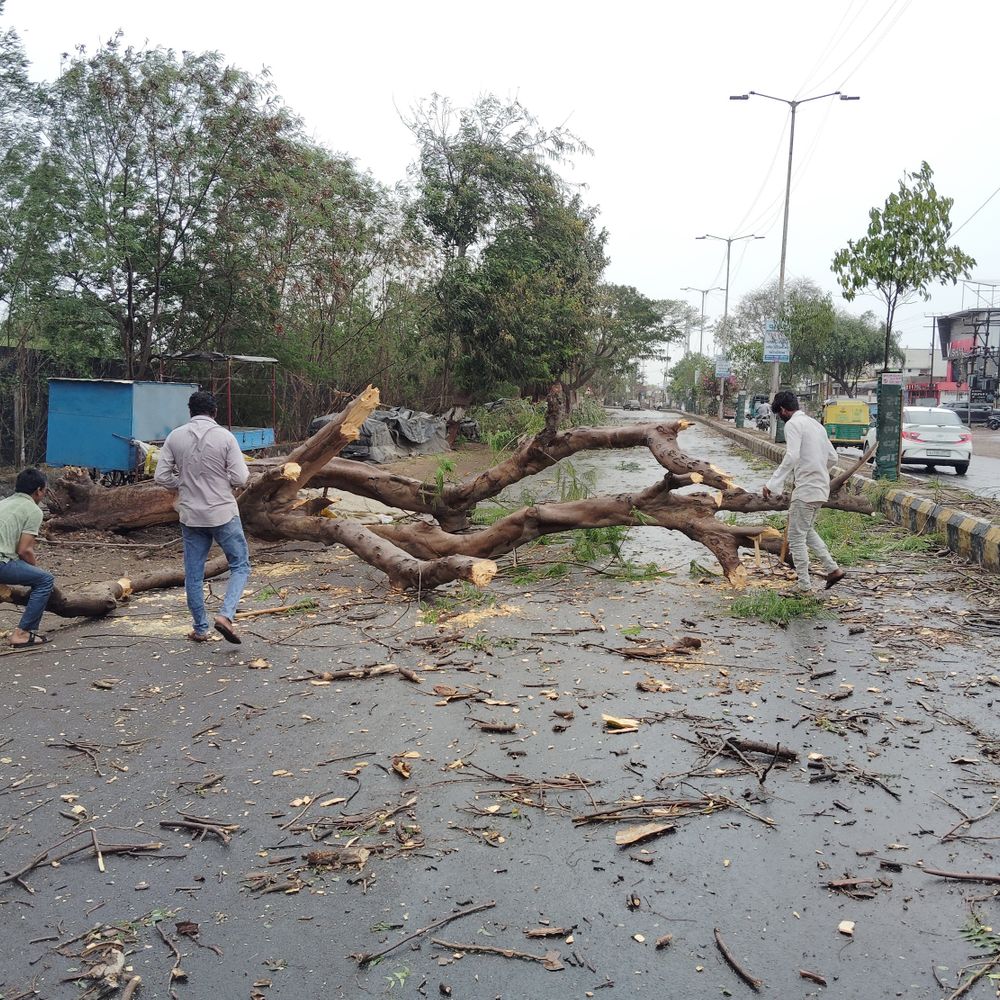 ઝંઝાવાતી પવનનો કહેર:જામનગરમાં મીની વાવાઝોડું-વરસાદ,અનેક હોડિંગ્સ-વૃક્ષો ધરાશાયી‎
