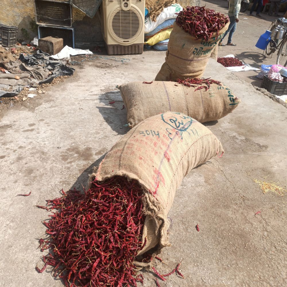 ભાસ્કર ખાસ‎:પોરબંદર યાર્ડમાં બારાડી પંથકમાંથી 400 કિલો સૂકા લાલ મરચાની આવક