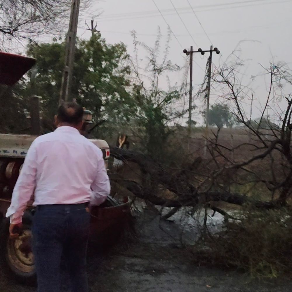 કામગીરી:10 વૃક્ષો ધરાશાયી થતા અમરેલી વડિયાનો બંધ થયેલો માર્ગ મોડેથી ખુલ્લો કરાવાયો