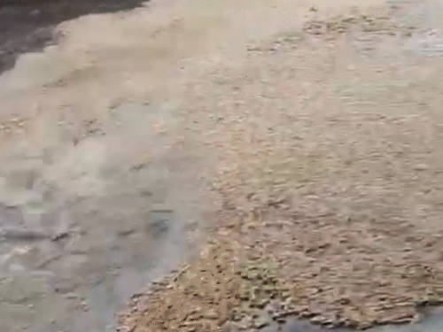 Rajkot Unseasonal Rain Destroys Crops and Rips Off Solar Panels
