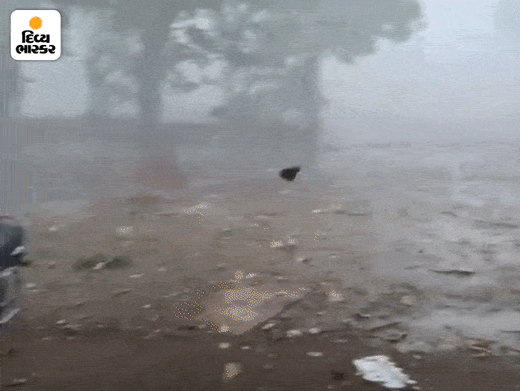 Gujarat Weather Alert Predicts Heavy Rain and Dust Storms