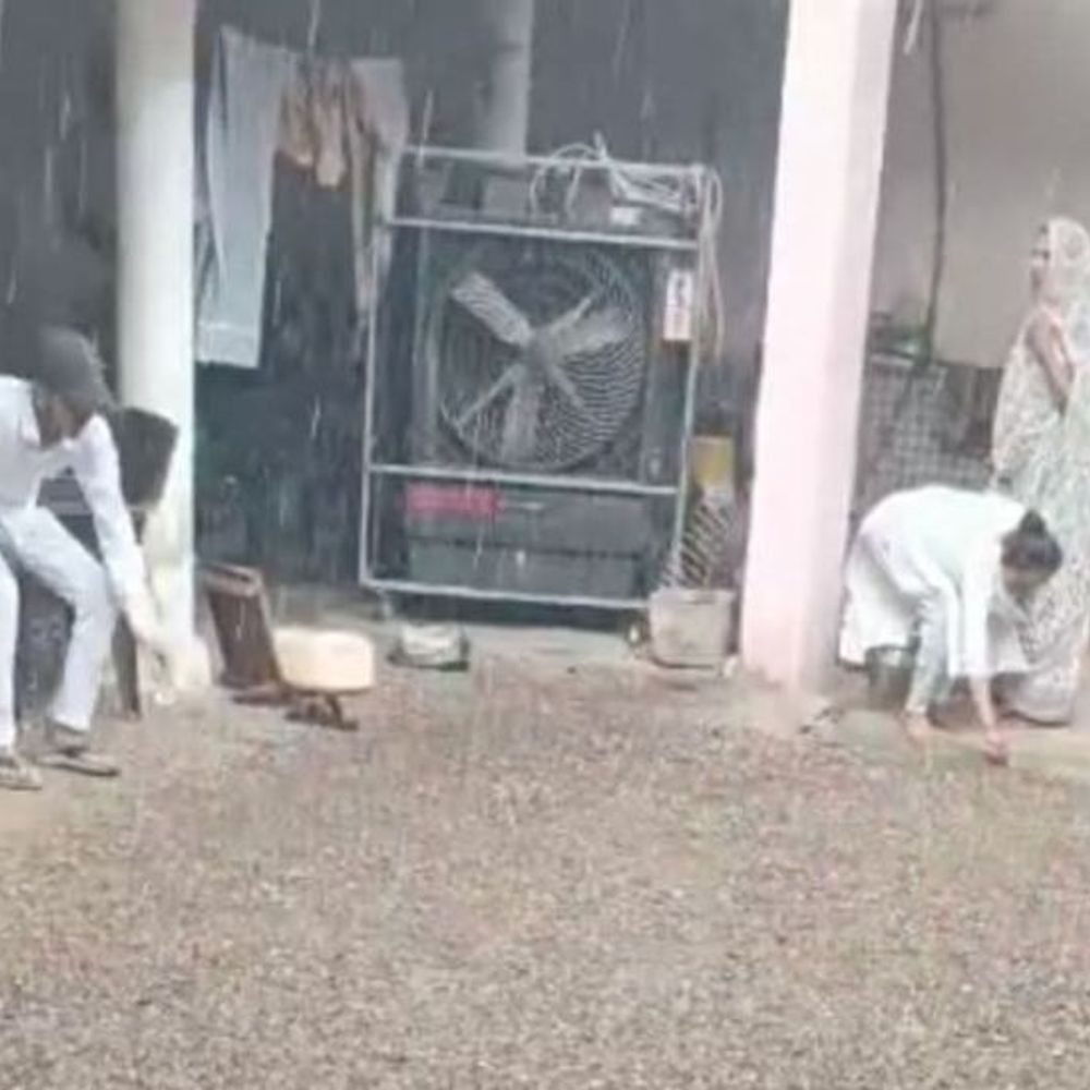 ભાસ્કર ગ્રાઉન્ડ રિપોર્ટ:બગસરા, વડિયા પંથકમાં કરા સાથે માવઠાથી ધાણા, ચણા અને ઘઉંના તૈયાર પાકને નુકસાન