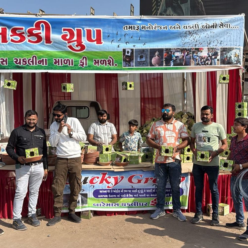 મોરબીમાં લક્કી ગ્રુપની ચકલી બચાવ ઝુંબેશ:વિશ્વ ચકલી દિવસે 3500 માળા, 1500 કુંડાનું વિતરણ