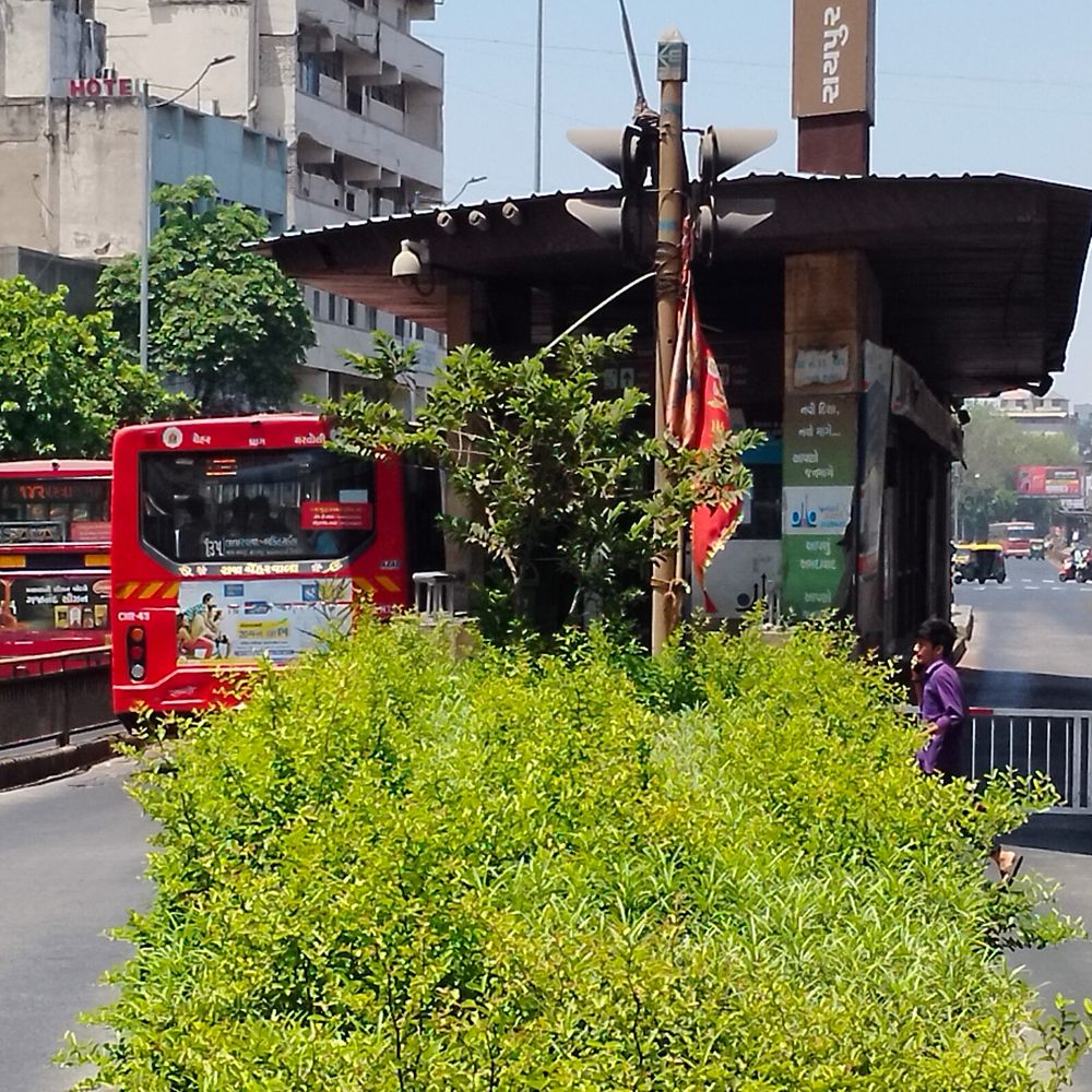સફાઈ અને ગ્રીન કવર પાછળ કૌભાંડની ગંધ:શહેરમાં કરોડો રૂપિયાનો ખર્ચ કરી વૃક્ષારોપણ કર્યા બાદ કેટલા વૃક્ષો હોવા અંગેની માહિતી નહીં, BRTS બસ સ્ટેન્ડોની સફાઈનો ખર્ચ વધ્યો