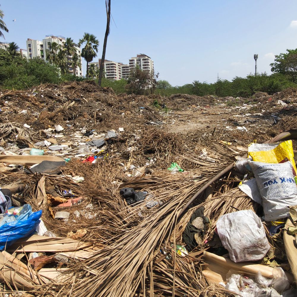 સુરતના પોશ અલથાણ વિસ્તારમાં મિનિ ખજોદ જેવી સ્થિતિ:પાલિકાના પ્લોટમાં કચરાના ડમ્પિંગથી રહીશો ત્રાહિમામ; મનપાના સ્વચ્છતાના દાવા પોકળ