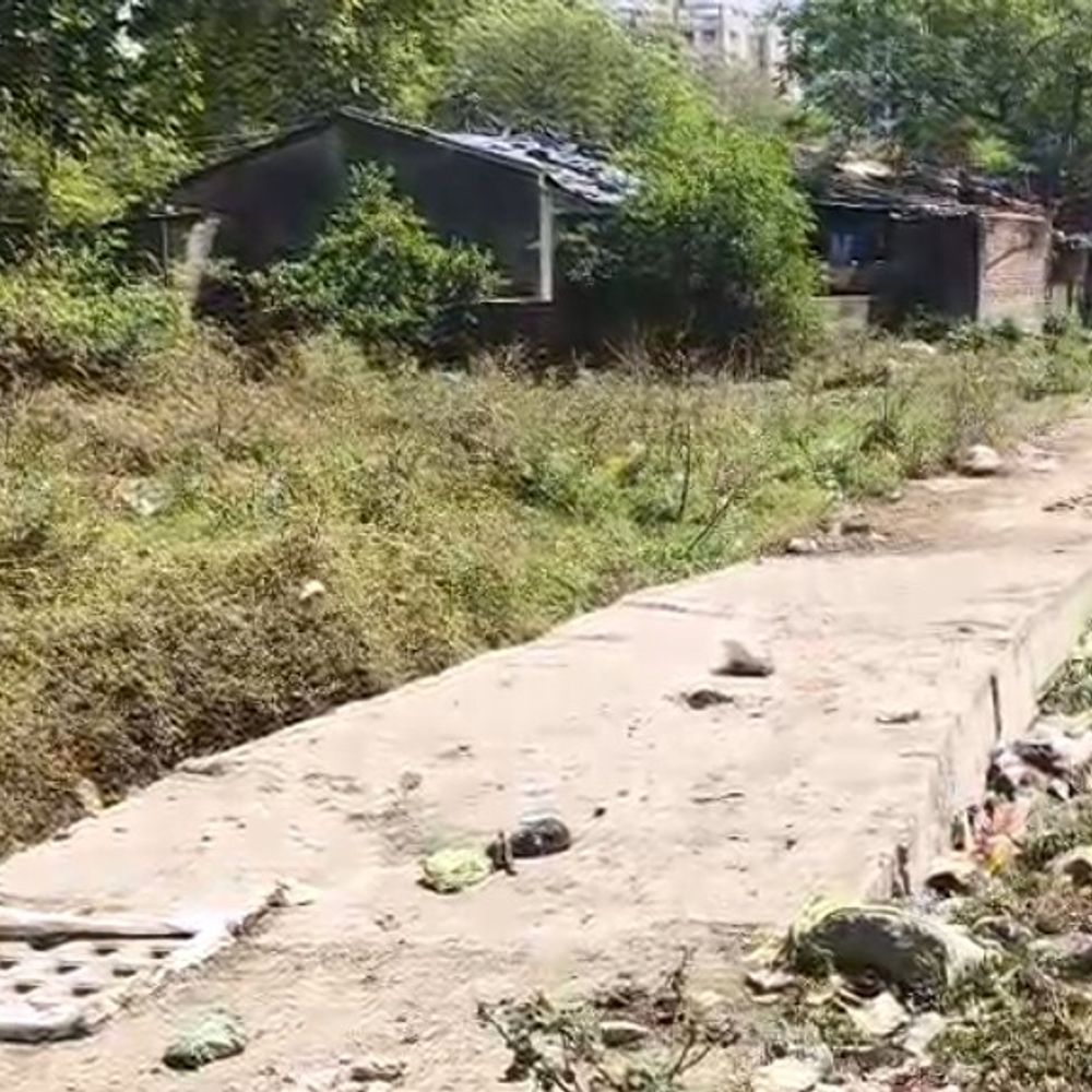 અટલાદરામાં ખુલ્લી વરસાદી કાંસમાં ગાય ખાબકતા મોત:જેસીબીની મદદથી ગાયને બહાર કઢાઈ, ડ્રેનેજ લાઇનના ઢાંકણા ખુલ્લી હાલતમાં, પાલિકા તંત્રની બેદરકારી!