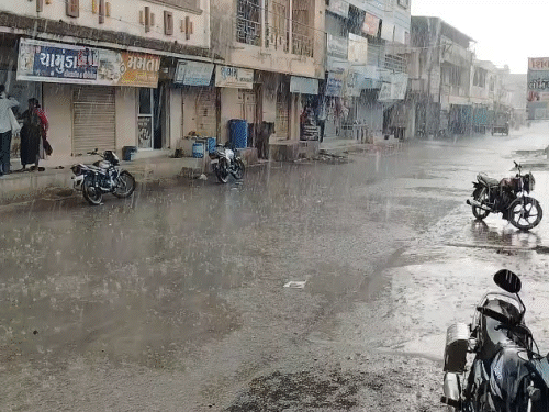 Gujarat Rain Alert Damages Kesar Mango Crops