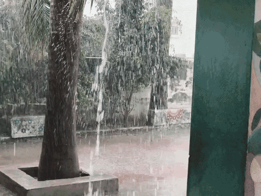 ગુજરાતમાં કમોસમી વરસાદ: કેસર કેરીના બગીચાઓમાં ચિંતા, 24 કલાક બાદ તાપમાનમાં 3-4 ડિગ્રીનો વધારો થશે.