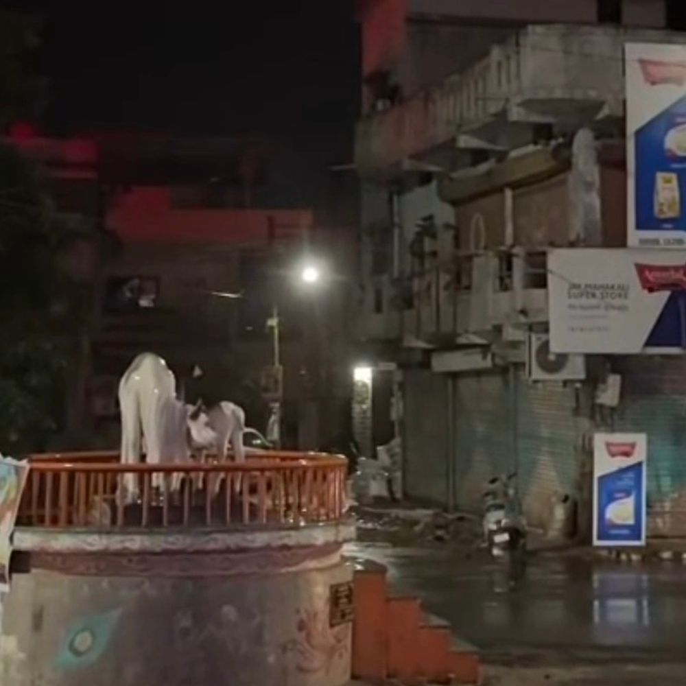 ગોધરામાં કાળઝાળ ગરમી વચ્ચે કમોસમી વરસાદ:વીજળીના કડાકા સાથે પડ્યો, ખેડૂતો ચિંતિત