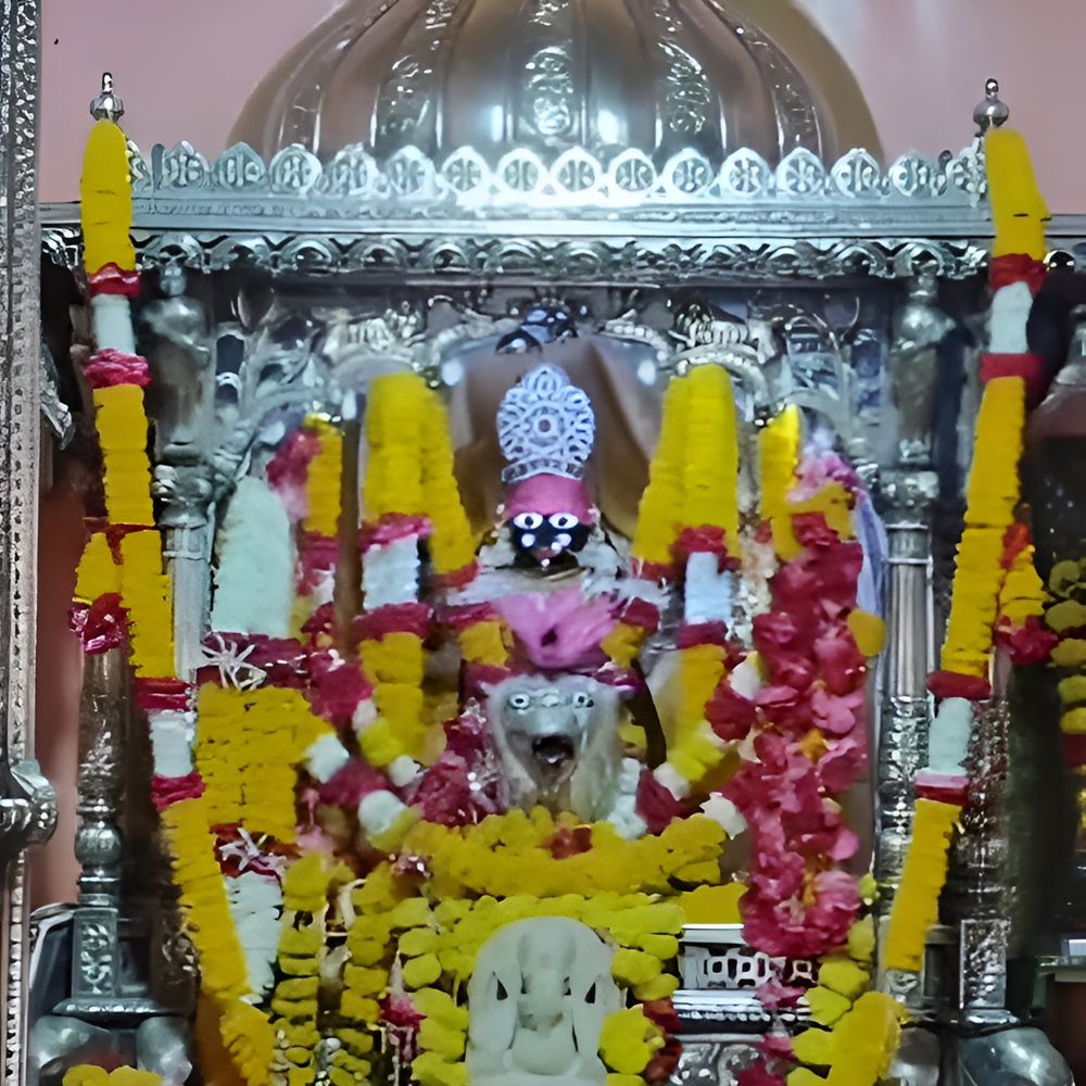 માઇ ભક્તો ભક્તિમાં લીન:નવચંડીયજ્ઞ, લક્ષ્મી હોમ, જપ-તપ અને મંત્રોચ્ચાર દ્વારા શક્તિની થશે આરાધના