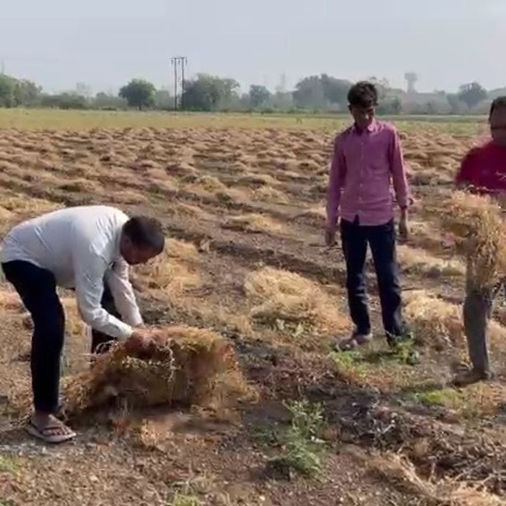 ગઢડામાં કમોસમી વરસાદ, વાવાઝોડાથી ખેતીને નુકસાન:ઘઉં, ચણા, જીરું સહિતના પાકને અસર, ખેડૂતો ચિંતિત
