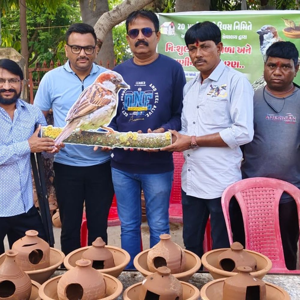 પાટણમાં વિશ્વ ચકલી દિવસે 5,000થી વધુ માળા-કુંડાનું વિતરણ:લુપ્ત થતી ચકલીઓ બચાવવા વિવિધ સંસ્થાઓએ વિનામૂલ્યે વિતરણ કર્યા