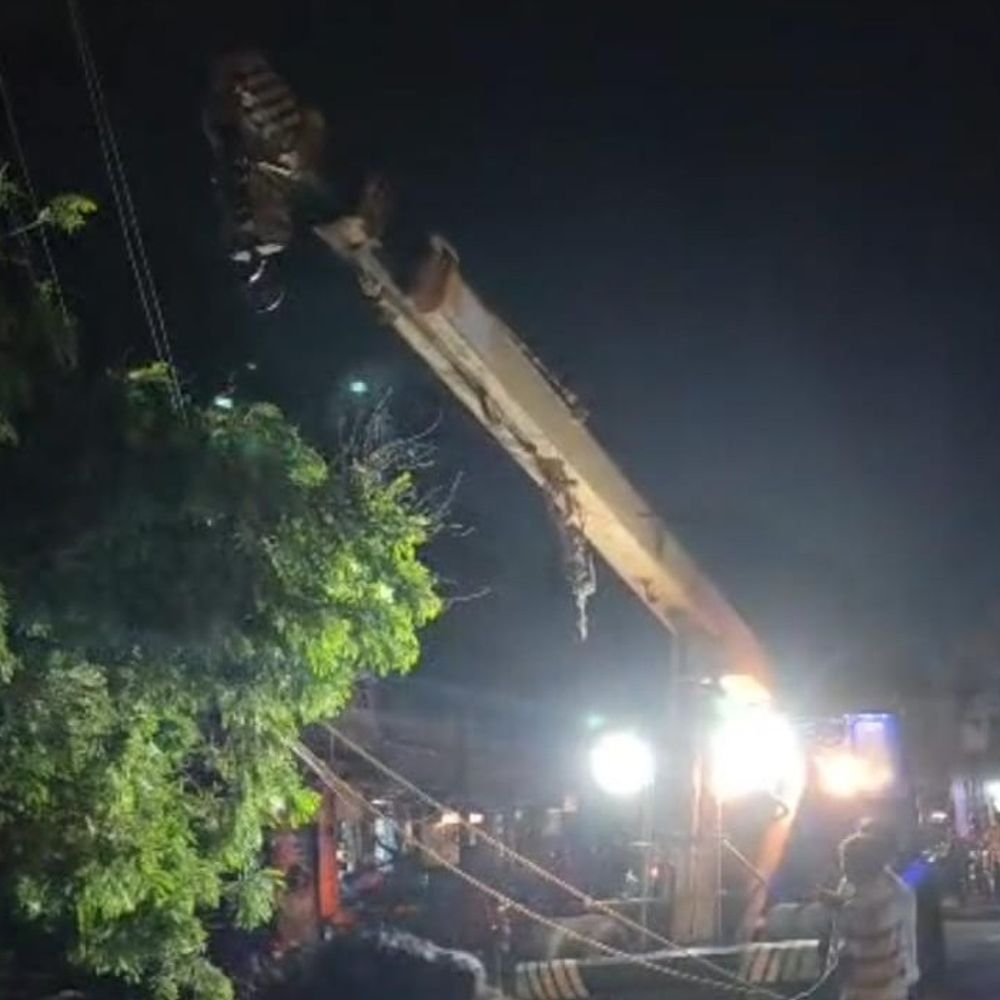 જામનગરમાં વીજ સબ સ્ટેશન પર વૃક્ષ પડ્યું:મધરાત સુધી કવાયત બાદ વીજ પુરવઠો પૂર્વવત કરાયો
