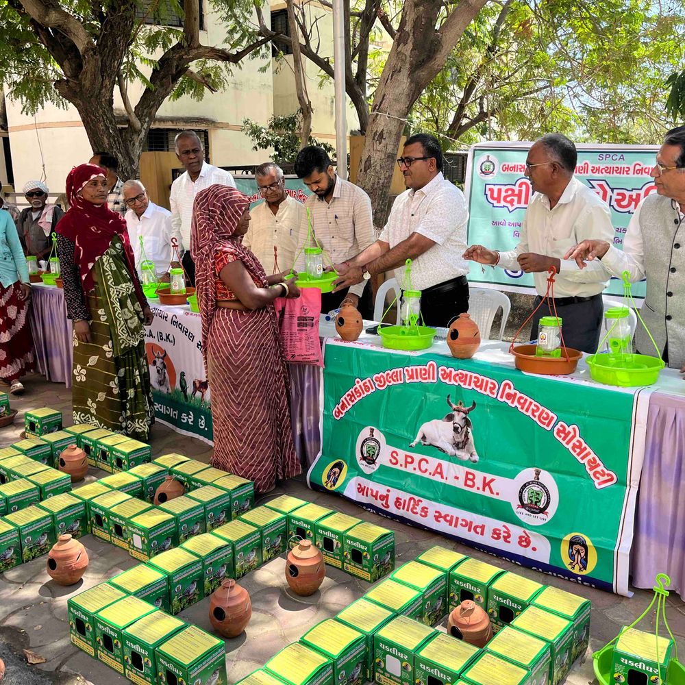 વિશ્વ ચકલી દિવસે બનાસકાંઠામાં પક્ષીઘર-કુંડાનું વિતરણ:જિલ્લાના દરેક તાલુકામથકે 10 હજાર વસ્તુઓ અપાશે