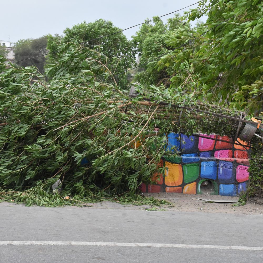 25થી વધુ સ્થળે કોમ્પલેક્ષોના સાઇડ બેનરોને નુકસાન:તોફાની પવનથી મહેસાણામાં હોર્ડિંગ્સ ફાટ્યા,બે પોલ પડ્યા