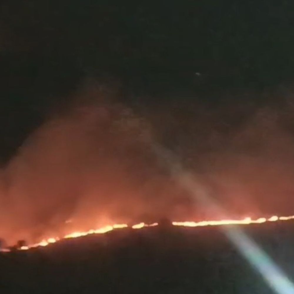 અરવલ્લીના જંગલોમાં ભીષણ આગ: વનરાજી બળીને ખાખ:આગ લાગવાનું કારણ અકબંધ; વન વિભાગ કાબૂમાં લેવા પ્રયાસરત