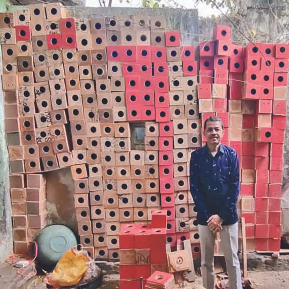 વિશ્વ ચકલી દિવસ:વઢવાણના શિક્ષકે 2500થી વધુ લાકડાના માળા, 1500 કુંડાનું વિતરણ કર્યું, 300 શાળા અભિયાનમાં જોડાઈ